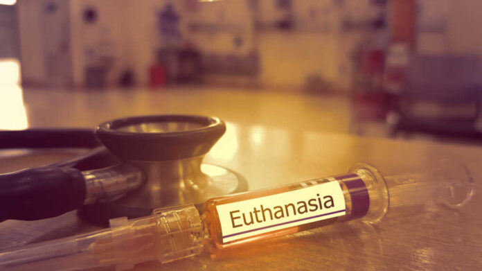 Syringe,Of,Medicine,For,Mercy,Killing,And,Stethoscope,With,Blured