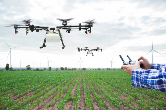 Farmer,Control,Agriculture,Drone,Fly,To,Sprayed,Fertilizer,On,The