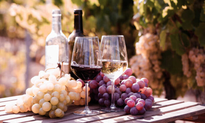 Glasses,Of,Red,And,White,Wine,And,Ripe,Grapes,On