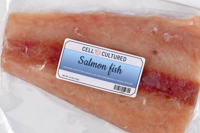 Lab,Grown,Cell,Cultured,Salmon,Fish,Concept,For,Artificial,In