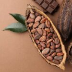 Cocoa Extract: Age-Defying Discovery
