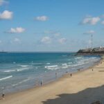 Hadera Shark Incident: Regulatory Calls