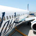 Passenger’s Pet Policy Outburst Goes Viral