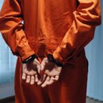 Jan. 6 Pipe Bomber Seeks Release