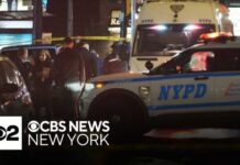 Off-Duty Cop UNLEASHES On Bronx Street