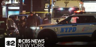Off-Duty Cop UNLEASHES On Bronx Street