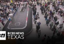 Senate Stuns: No More VIP Airport Privileges