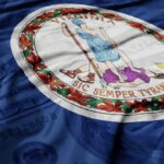 Virginia state flag featuring a central emblem on a blue background