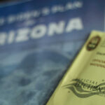 Election materials including a ballot envelope and a campaign brochure for Arizona