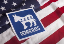 Democratic Party logo featuring a donkey on an American flag background