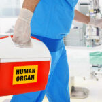 Healthcare professional carrying a cooler labeled 'HUMAN ORGAN'