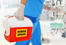 Healthcare professional carrying a cooler labeled 'HUMAN ORGAN'
