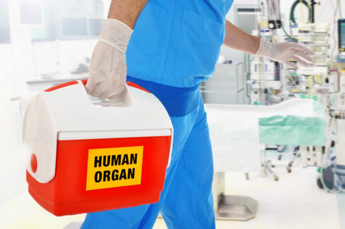 Healthcare professional carrying a cooler labeled 'HUMAN ORGAN'