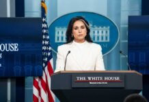 Deep State Plot: Gabbard’s Bombshell Revelation