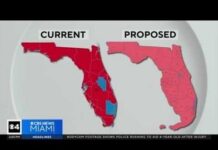 DeSantis Map WIPES OUT Seven Democrat Districts