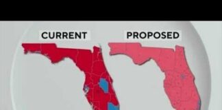 DeSantis Map WIPES OUT Seven Democrat Districts