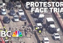 Golden Gate Trial: Protesters Face Life-Altering Sentences