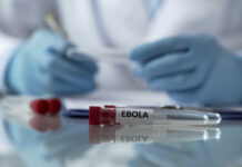 Elite Neglect: Ebola’s Return Exposes Failure Ebola test tube on lab table with gloved researcher in background