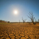A moonlit landscape featuring cracked earth and barren trees