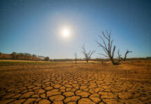 Record Heat Highlights Europe’s Climate Dilemma A moonlit landscape featuring cracked earth and barren trees
