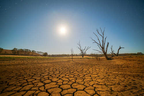 Global,Warming,Concept.,Dead,Tree,Under,Hot,Sunset,,Drought,Cracked A moonlit landscape featuring cracked earth and barren trees