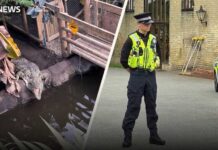 Three-year-old 'critically injured' in crocodile enclosure - what we know so far