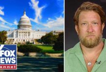 Mayor Run Tease Upends New York Politics Dave Portnoy REVEALS if he'd run for political office...