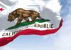 Watchdogs Taxed: Transparency On Trial California state flag featuring a bear and a star