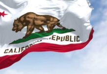 Watchdogs Taxed: Transparency On Trial California state flag featuring a bear and a star