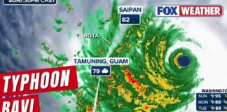 Storm Exposes Fragile Grid—Next Stop: Taiwan