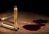 Brass bullet casings beside dark red liquid puddles on a surface