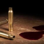 Brass bullet casings beside dark red liquid puddles on a surface