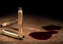 Brass bullet casings beside dark red liquid puddles on a surface