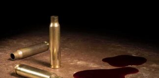 Brass bullet casings beside dark red liquid puddles on a surface