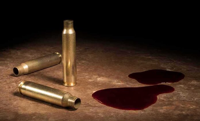 shutterstock_1031140252 Brass bullet casings beside dark red liquid puddles on a surface
