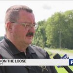 Lion Cub Alert Panics Indiana County Lion Cub Alert Panics Indiana County