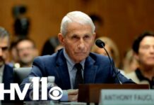 Senate Vote Puts Fauci Under Pressure Dr. Anthony Fauci held in contempt of Congress