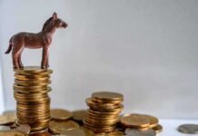 Why Democrats Are Losing Cash Plastic donkey figurine on a stack of coins