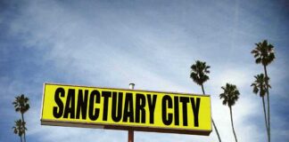 Yellow roadside sign reading Sanctuary City with palm trees