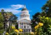 DOJ Slams Brakes On California Ballots Capitol building with white dome framed by trees and yellow flowers