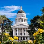 Capitol building with white dome framed by trees and yellow flowers