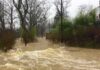 Night Surge Turns Roads Into Traps Flooded residential street with fast-moving muddy water