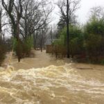 Night Surge Turns Roads Into Traps Flooded residential street with fast-moving muddy water