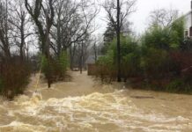 Night Surge Turns Roads Into Traps Flooded residential street with fast-moving muddy water