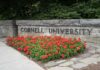 A Viral Cornell Claim Sparks Fierce Debate Cornell University stone sign with red flowers