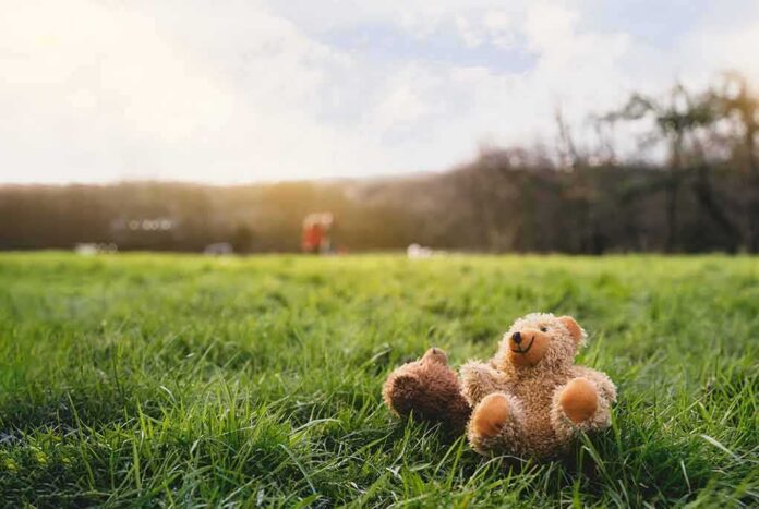 Teddy bear sitting on grass in a sunny field