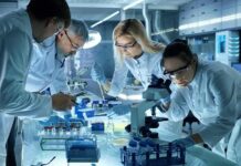 Transplant Trick JOLTS Fertility Hopes Scientists collaborating in a laboratory around a microscope